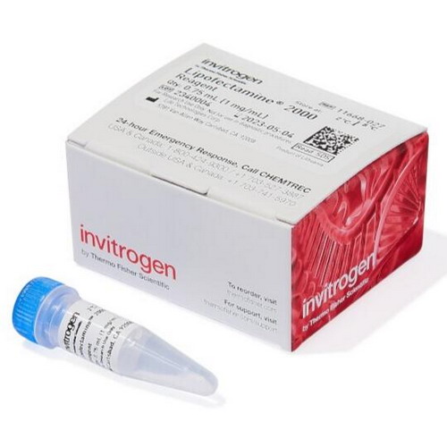 Life Invitrogen Lipofectamine 2000转染试剂11668027