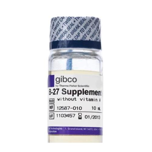 Gibco B-27添加剂(50X)，12587010去除维生素A