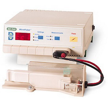 BIO-RAD电转化仪MicroPulser美国伯乐电穿孔仪1652100
