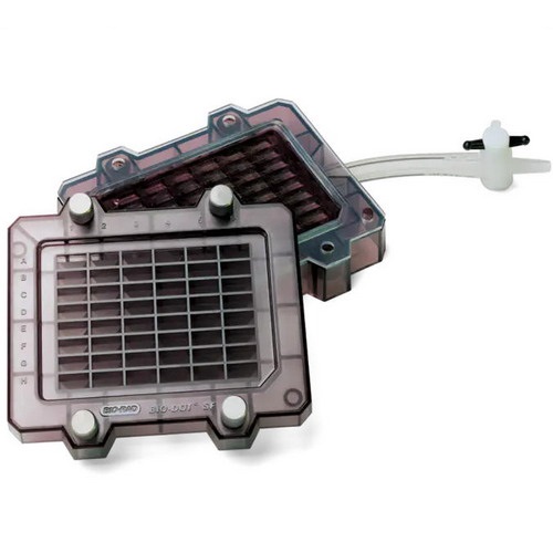 伯乐Bio-rad Bio-Dot Apparatus 1703938微孔过滤仪1706546