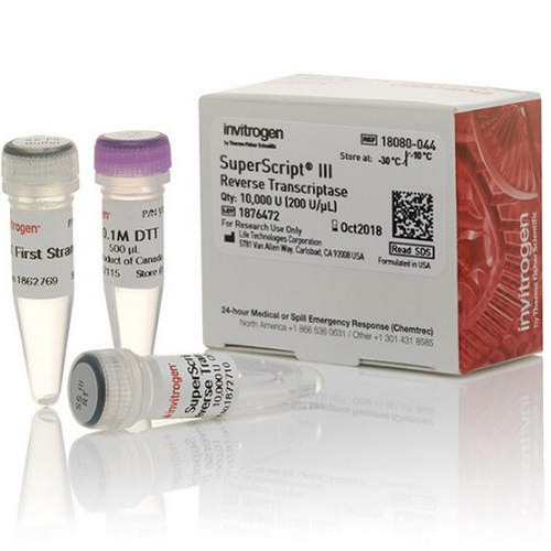Thermo赛默飞SuperScript III 反转录酶18080044 18080093 18080085