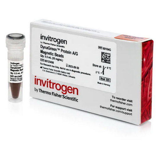 Thermo赛默飞80104G DynaGreen Protein A/G 80105G磁珠80106G