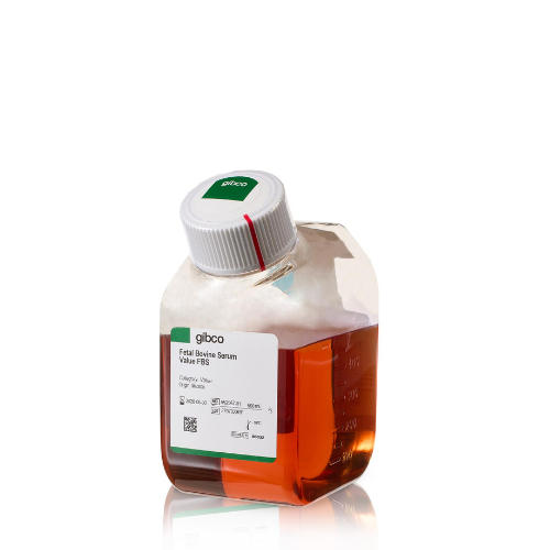 Thermo赛默飞Gibco优级胎牛血清 500ml/瓶 巴西血源 A5256701