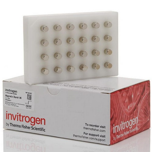 Thermo赛默飞世尔磁力架-96用于96孔板和PCR板AM10027