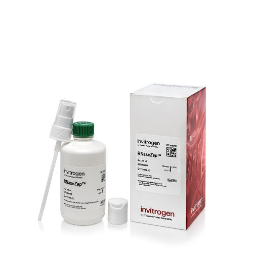 Thermo赛默飞去污溶液RNaseZap RNase 250ml/瓶 AM9780