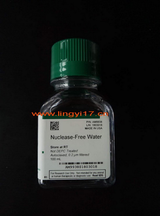 美国life Invitrogen Nuclease-Free Water (not DEPC-Treated) AM9938