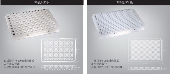 AXYGEN爱思进八联管板