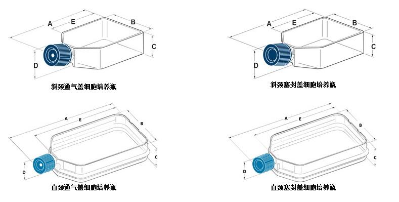 <strong><strong><strong><strong><strong>美國BD Falcon細胞培養瓶</strong></strong></strong></strong></strong>