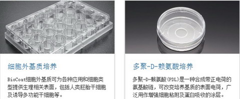 BD BioCoat包被细胞培养容器，培养板