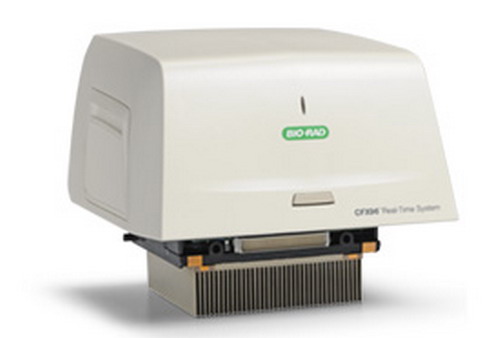 Bio-rad C1000乐美国伯PCR仪96孔梯度1851197