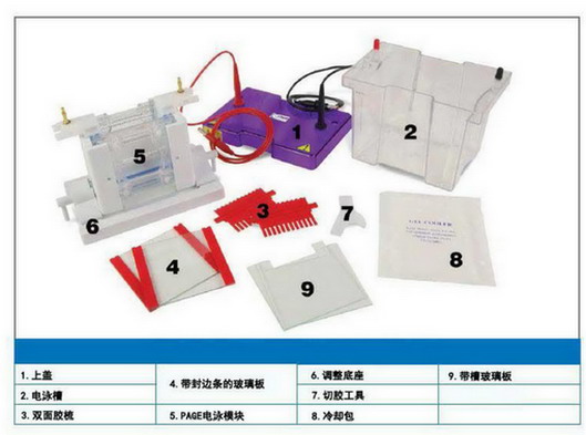 英国Cleaver CVS10DSYS迷你垂直电泳槽