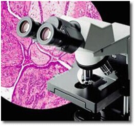 Olympus奥林巴斯CX31生物显微镜