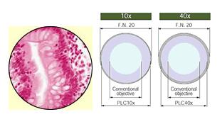 Olympus奥林巴斯CX31生物显微镜