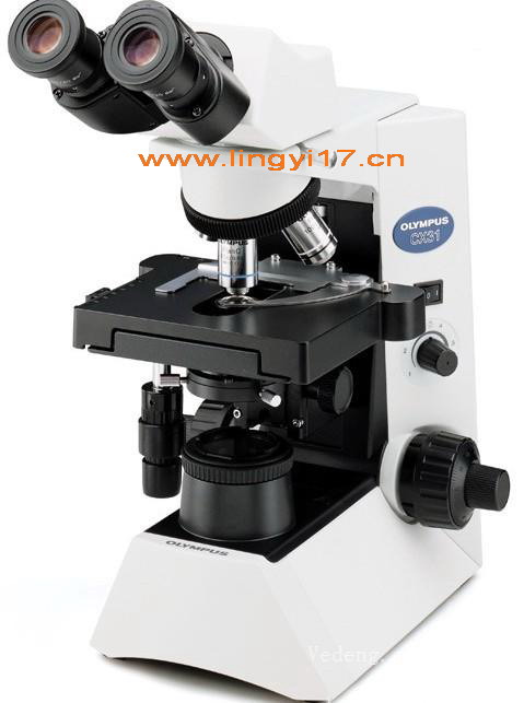 Olympus奥林巴斯CX31生物显微镜