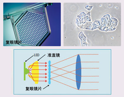 尼康E200生物显微镜