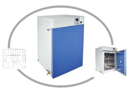 电热恒温培养箱DHP-9012，工作尺寸：250×260×250mm