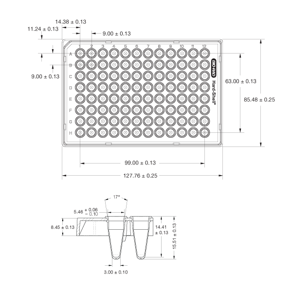 美国Bio-rad伯乐Hard-Shell® 96-Well PCR Plates96孔板HSL9605