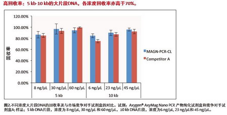 爱思进磁力架