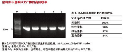 康宁爱思进磁力架IMAG-96-P-G