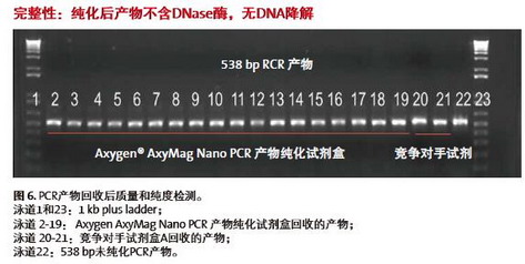 进口爱思进磁力架IMAG-96-P-G，AxyMag Nano PCR产物纯化试剂盒