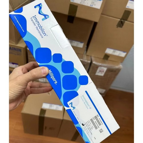 默克Millipore密理博转印膜PVDF材质IPVH00010卷膜