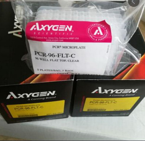 Axygen爱思进0.2ml透明无裙边96孔PCR板PCR-96-FLT-C