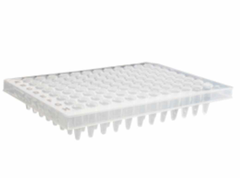 爱思进96孔PCR微孔板，透明，半裙边PCR-96M2-HS-C