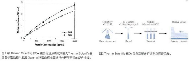 Thermo Scientific经典畅销-Pierce BCA蛋白定量试剂盒23225