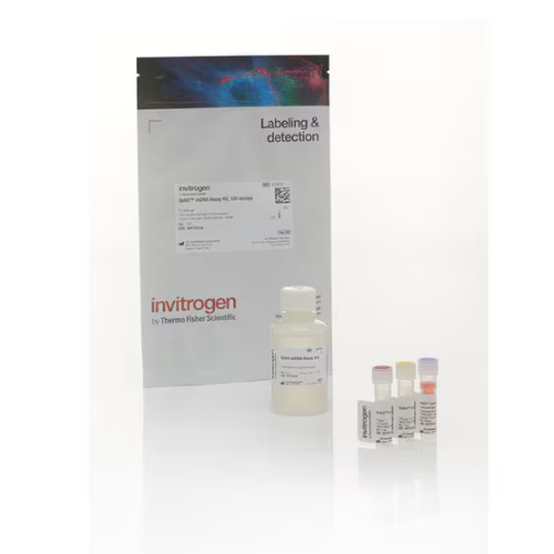 Thermo赛默飞Invitrogen Qubit ssDNA 检测试剂盒Q10212