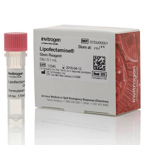 美国Thermo Invitrogen Lipofectamine干细胞转染试剂STEM00001