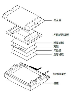 Trans-SD通用型半干转印电泳槽