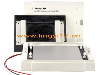 Trans-SD通用型半干转印电泳槽