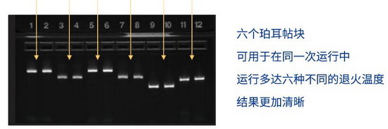 Thermo美国ABI Veriti 96梯度PCR仪