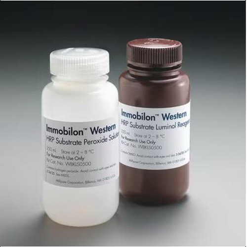 默克Millipore密理博Immobilon Western化学发光HRP底物WBKLS0100 WBKLS0500