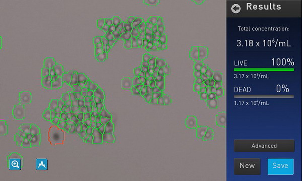 美国Invitrogen Countess II Automated Cell Counter自动化细胞计数仪AMQAX1000