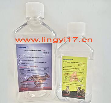 Biofuraw™ 快速转膜缓冲液（10X）