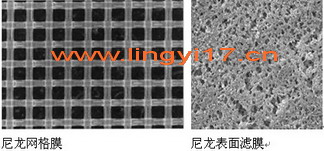 美国Millipore密理博尼龙膜和网格膜