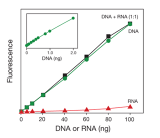 美國Life Invitrogen Qubit® 3.0熒光定量儀Q33216，Q33217，Q33218