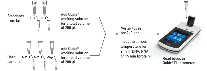 美國Life Invitrogen Qubit® 3.0熒光定量儀Q33216，Q33217，Q33218